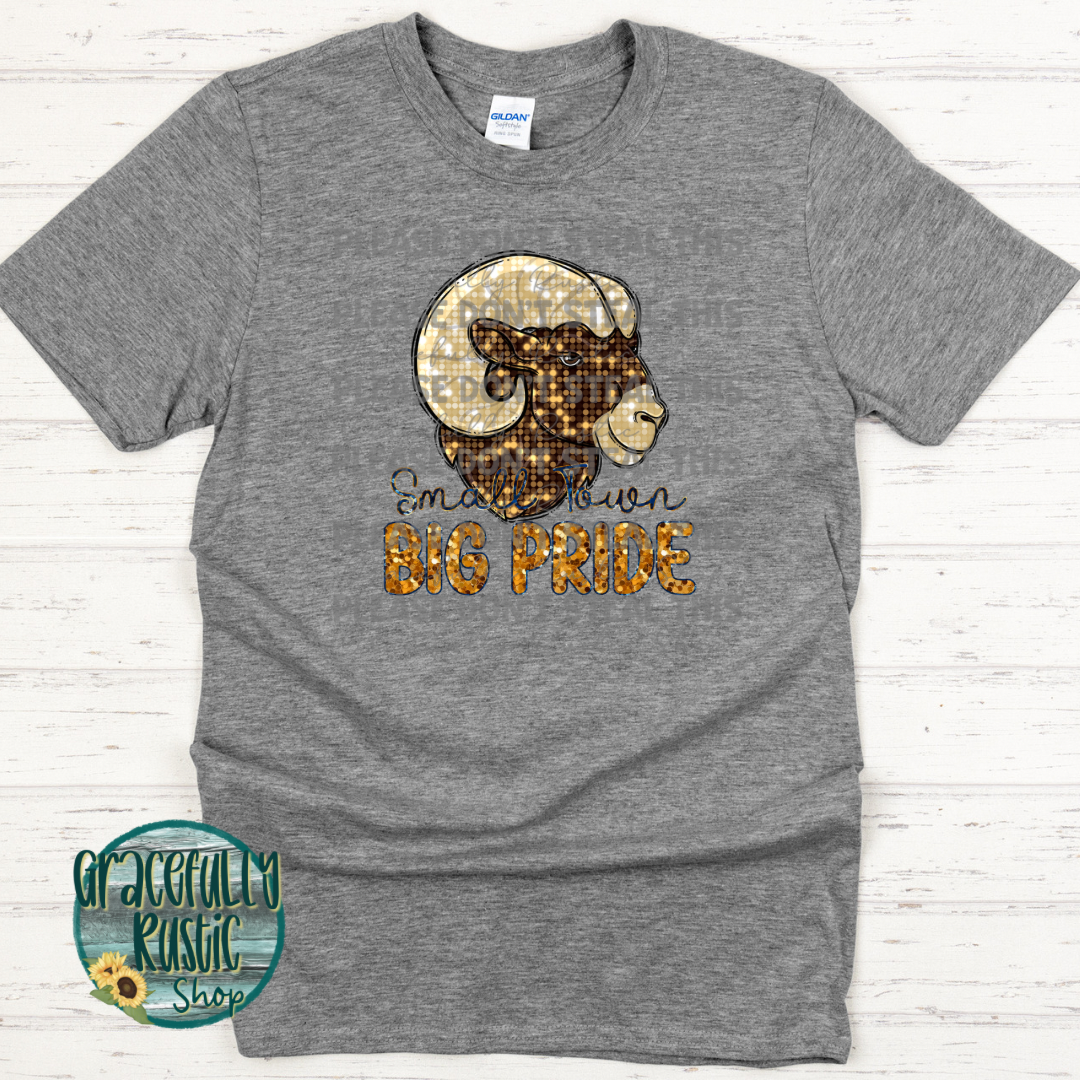 Custom Mascot Small Town Big Pride