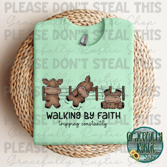 Walking by Faith, Tripping Comstantly