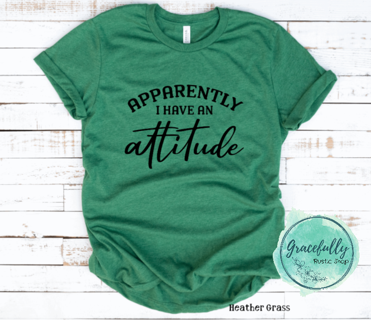 Apparently I Have an Attitude