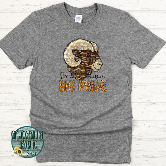 Custom Mascot Small Town Big Pride