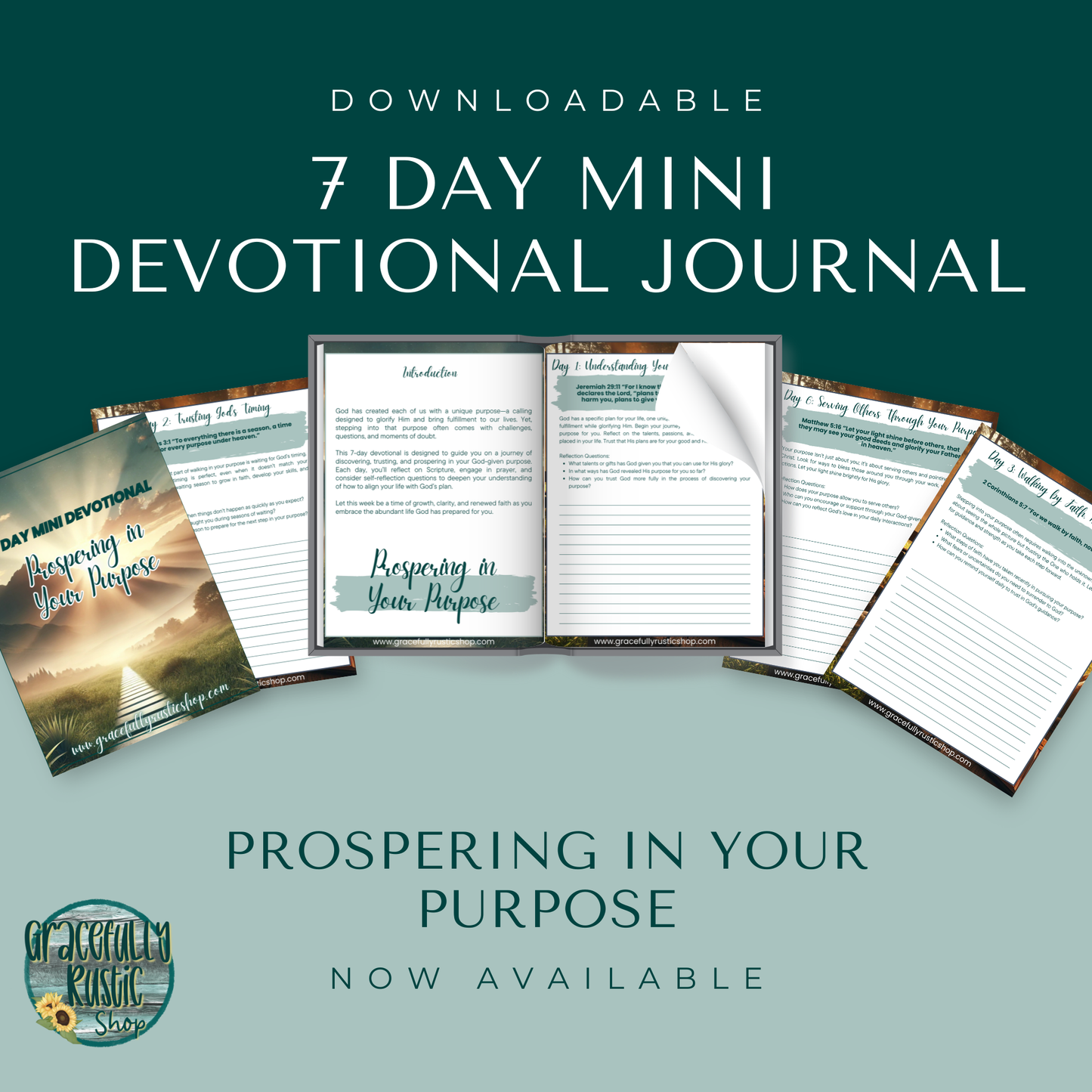 Prospering in Your Purpose - Devotional