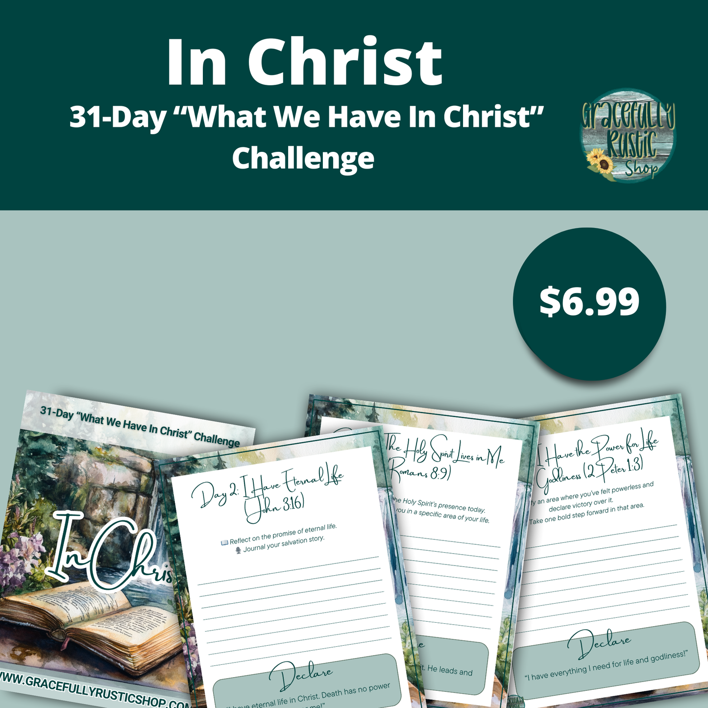 What We Already Have in Christ Challenge | Devotional