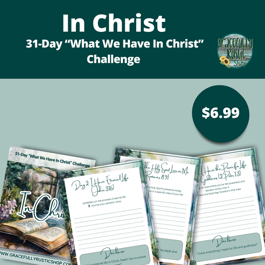 What We Already Have in Christ Challenge | Devotional