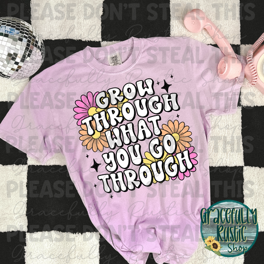 Grow through what you go through