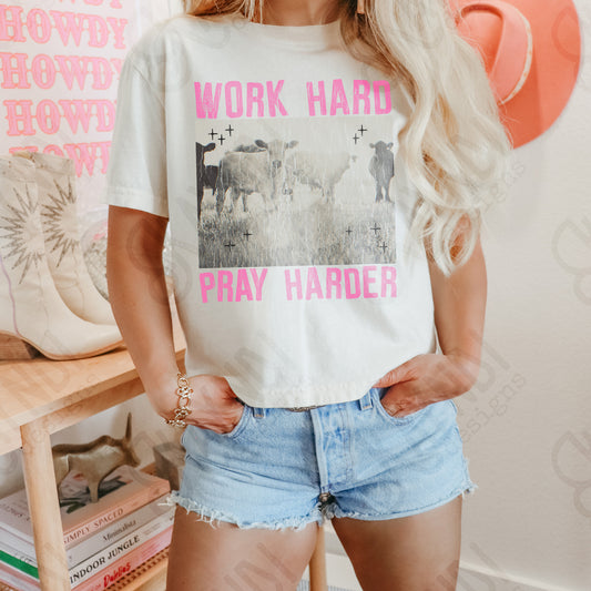 Work Hard Play Harder