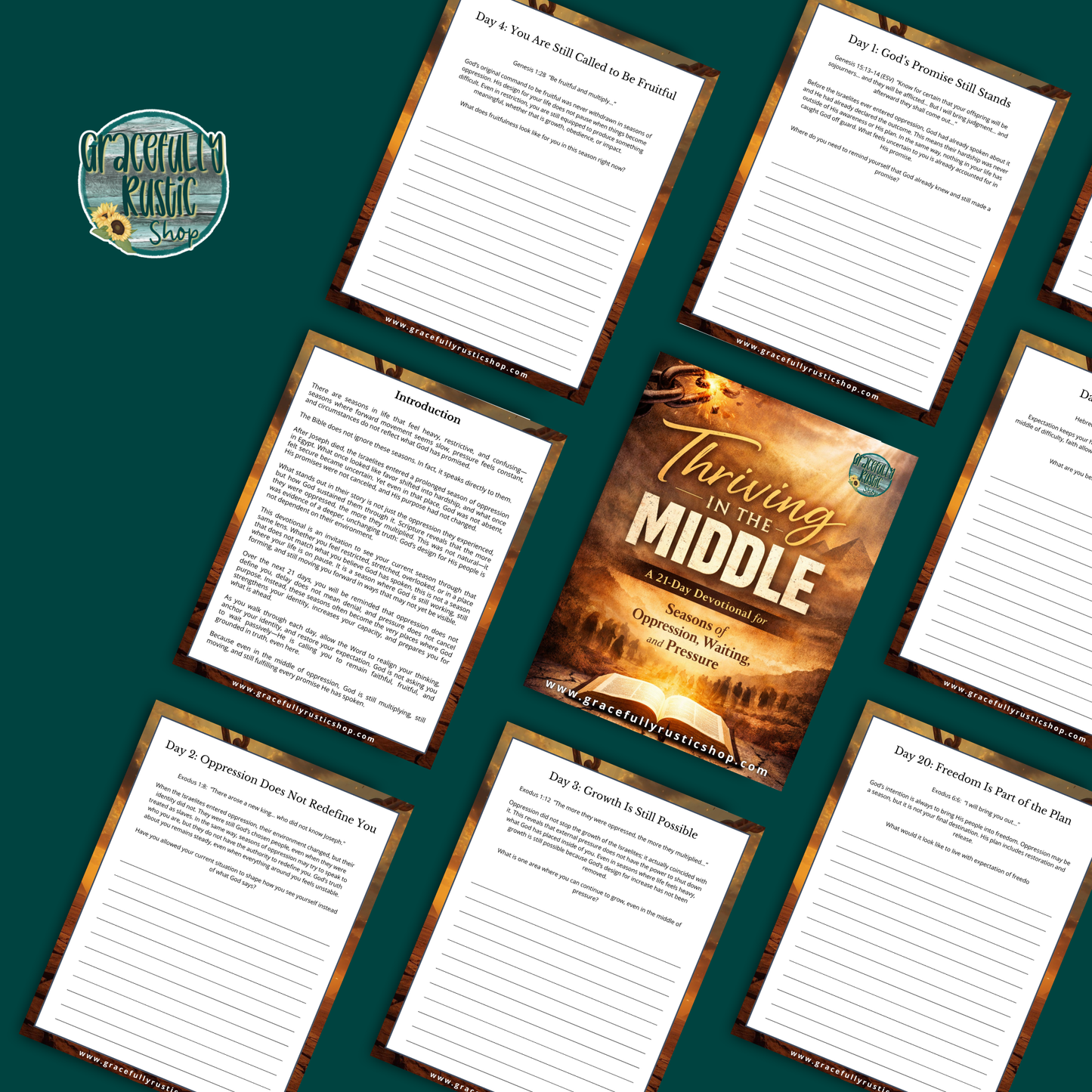 Thriving in the Middle | Devotional