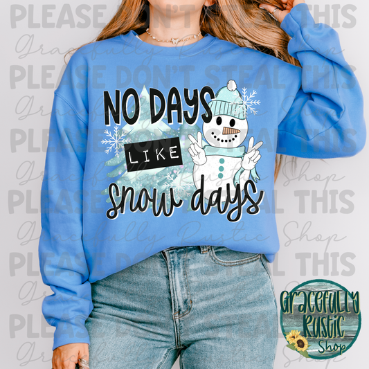 No Days Like Snow Days