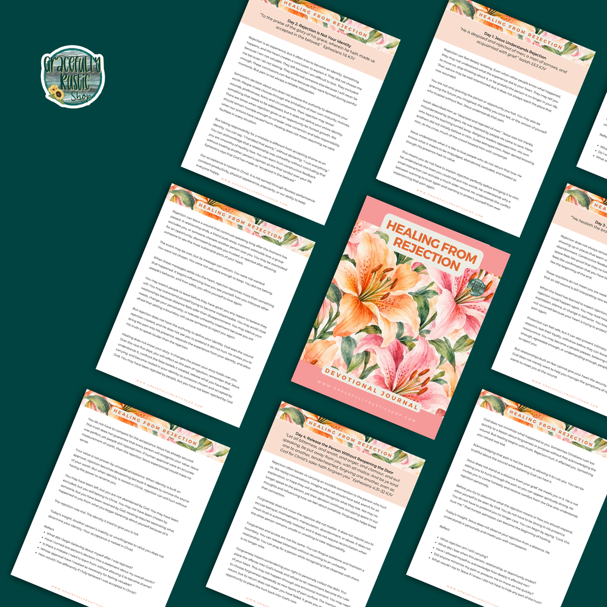 Healing From Rejection - Devotional