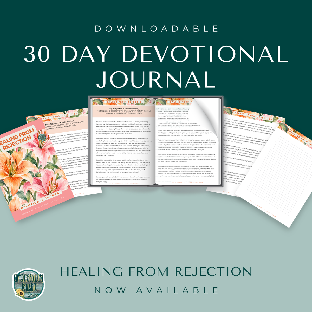 Healing From Rejection - Devotional
