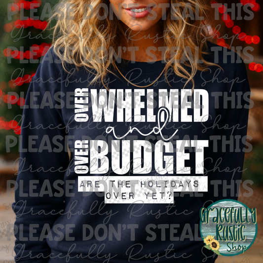 Overwhelmed and Over Budget